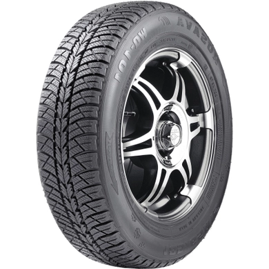 Шина 175/70R13 WQ-101 82T Tubeless (БцШЗ) зима Rosava